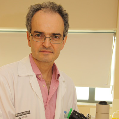 Doctor Rafael Botella Estrada