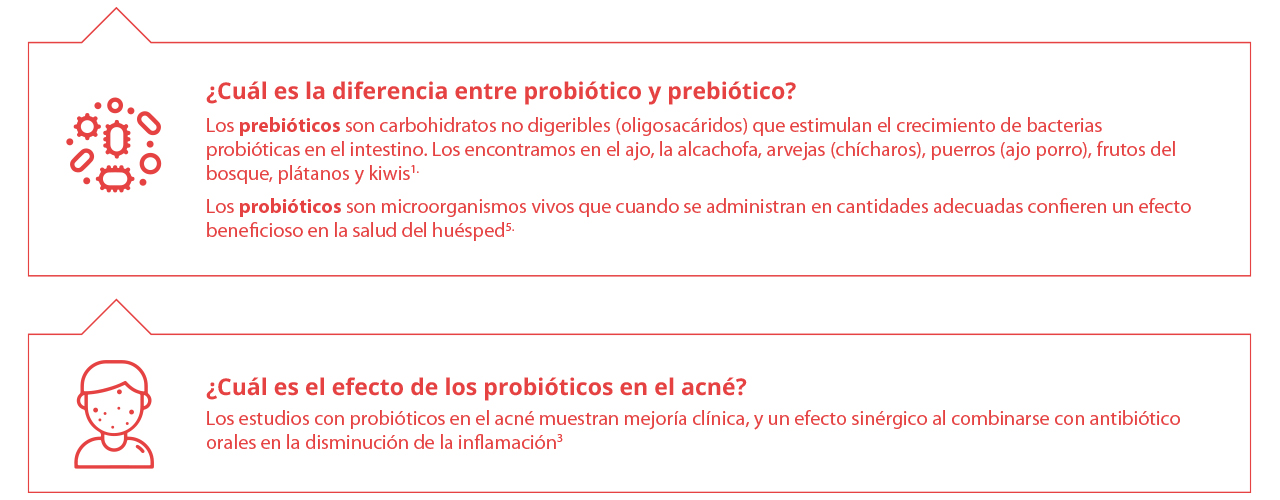 probióticos y prebióticos, diferencias